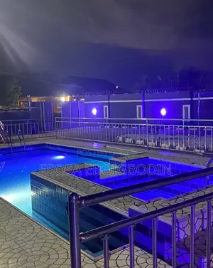 Swimming Pool Party.