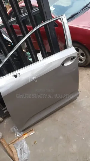 Empty Door Rx 350 2017 Model