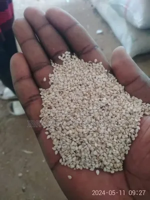 Raw and Cleaned Sesame Seeds