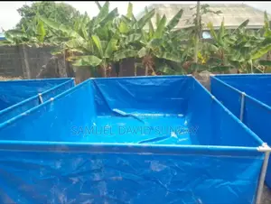 Fish Pond Best Quality