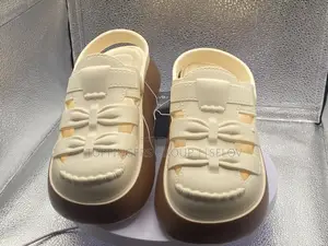 Luxury Female Crocs