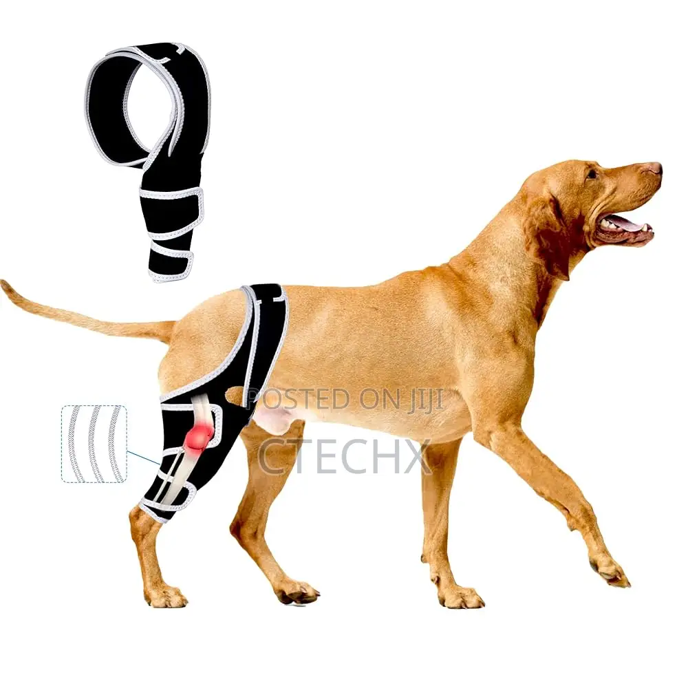 Dog Knee Brace for Back Leg, L