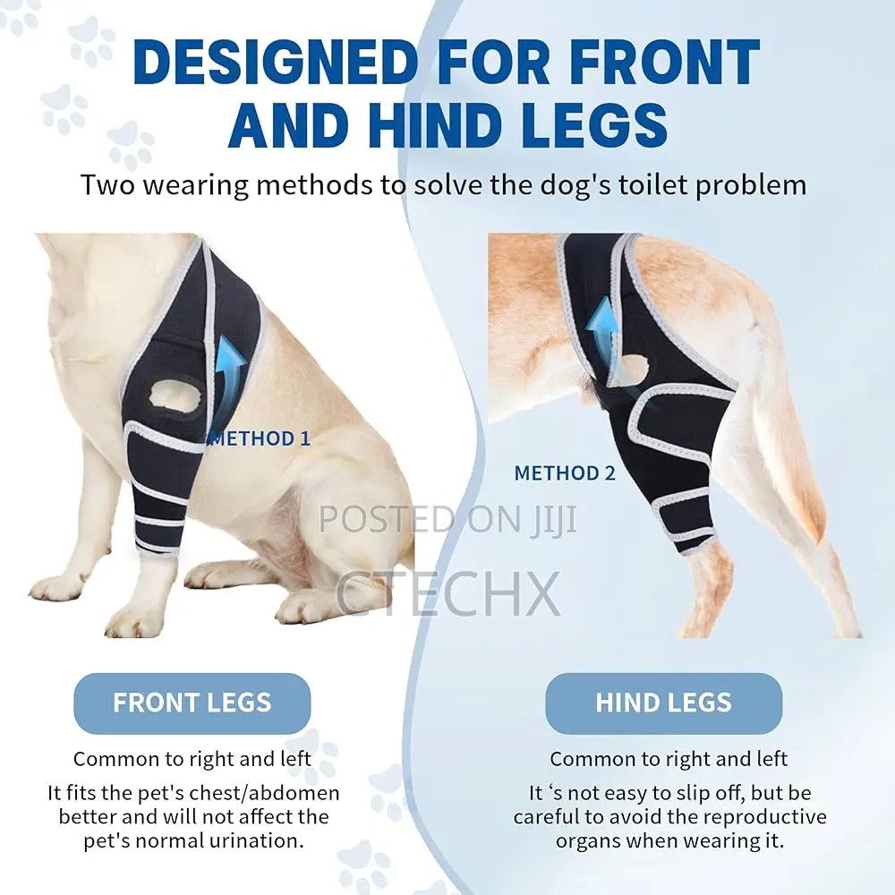 Dog Knee Brace for Back Leg, L