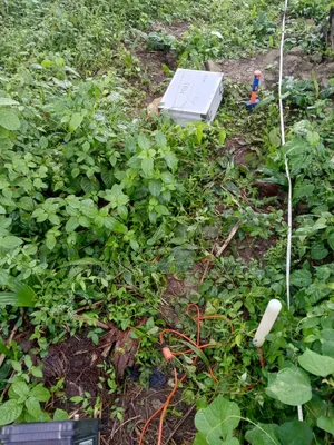 Geophysical Survey for Groundwater Exploration