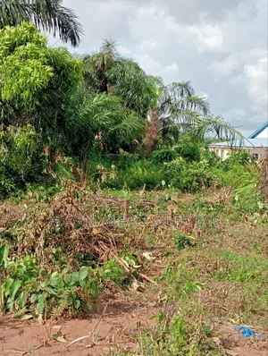 2 Plot of Land Around Gintin. Ikorodu Lagos