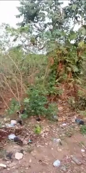 1 Full Plus Extra Plot Of Land For Sale.