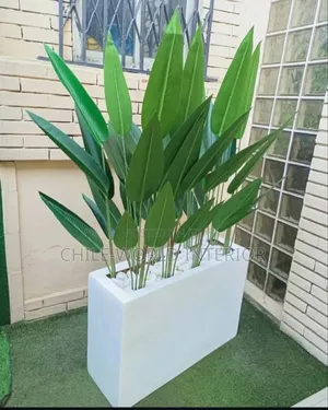 Artificial Plants