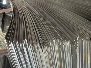 Iron Steel