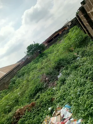 Standard Plot Of Land At Hope Street, Alakia Old Ife Rd.