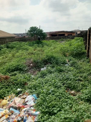 Standard Plot Of Land At Hope Street, Alakia Old Ife Rd.