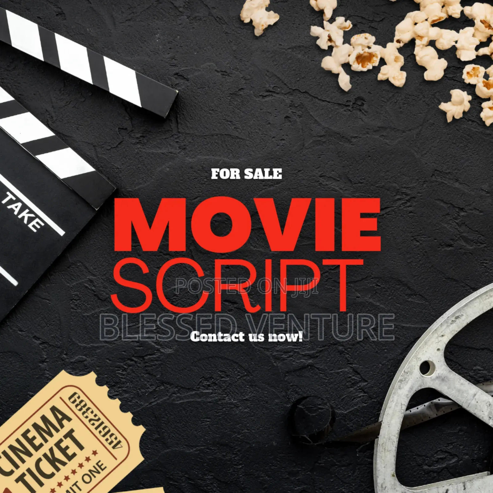Scriptwriter and Story Developer