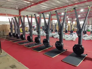 Pro Ski Rowing Machine