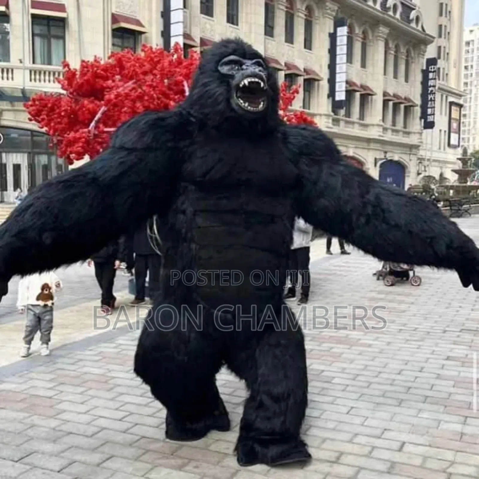 Gorilla Custom