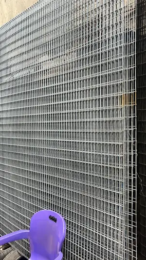Galvanized Welded Mesh