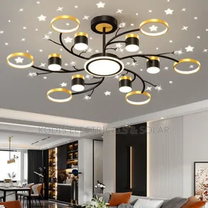 Led Ceiling Luxury Lightings