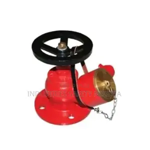 Unic Oblique Landing Valve + Flanged Inlet - 2.5"