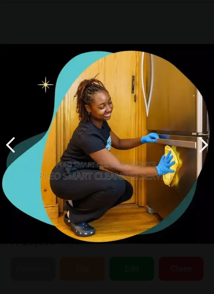 Professional Cleaning Service.