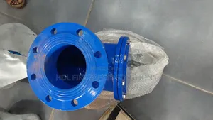 150mm Check Valve
