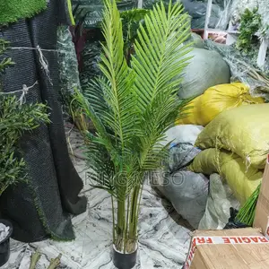 Plant Available Now