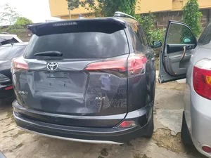 Toyota RAV4 XLE AWD (2.5L 4cyl 6A) 2016 Gray