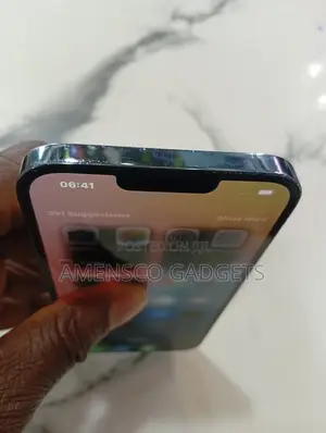 Apple iPhone 13 Pro Max 256 GB Blue