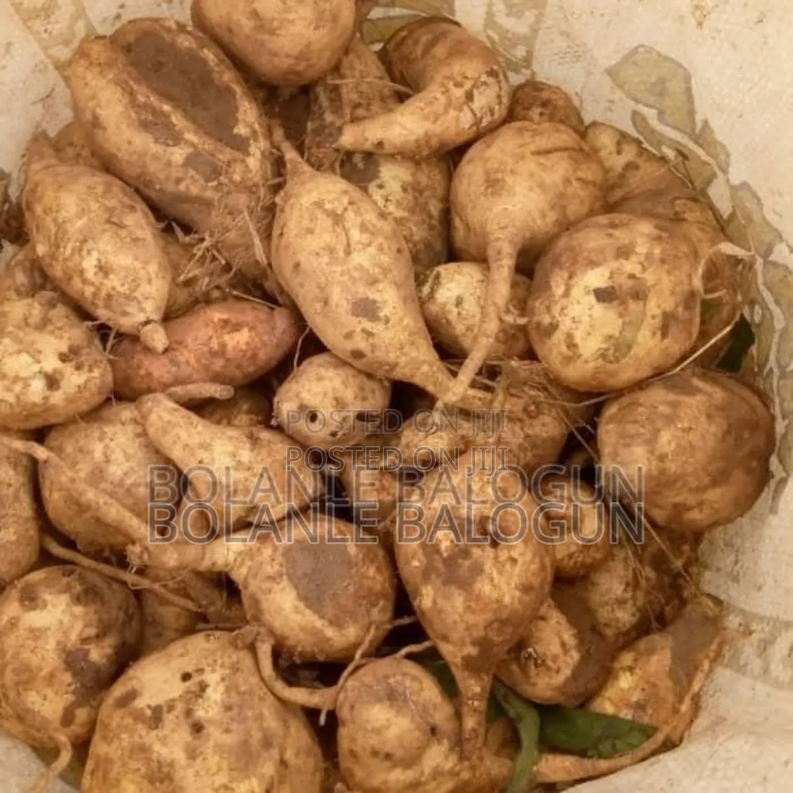 500 Bags+ Sweet White Potato –Retail Food Processing in Ilorin South ...