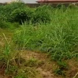 A Property Sitting on 2 Plots of Land