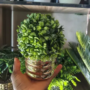 Table Flower Vase Available