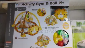 3 In 1 Play Gym