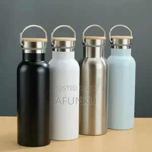 Stainless Steel Vacuum Water Bottle With Handle