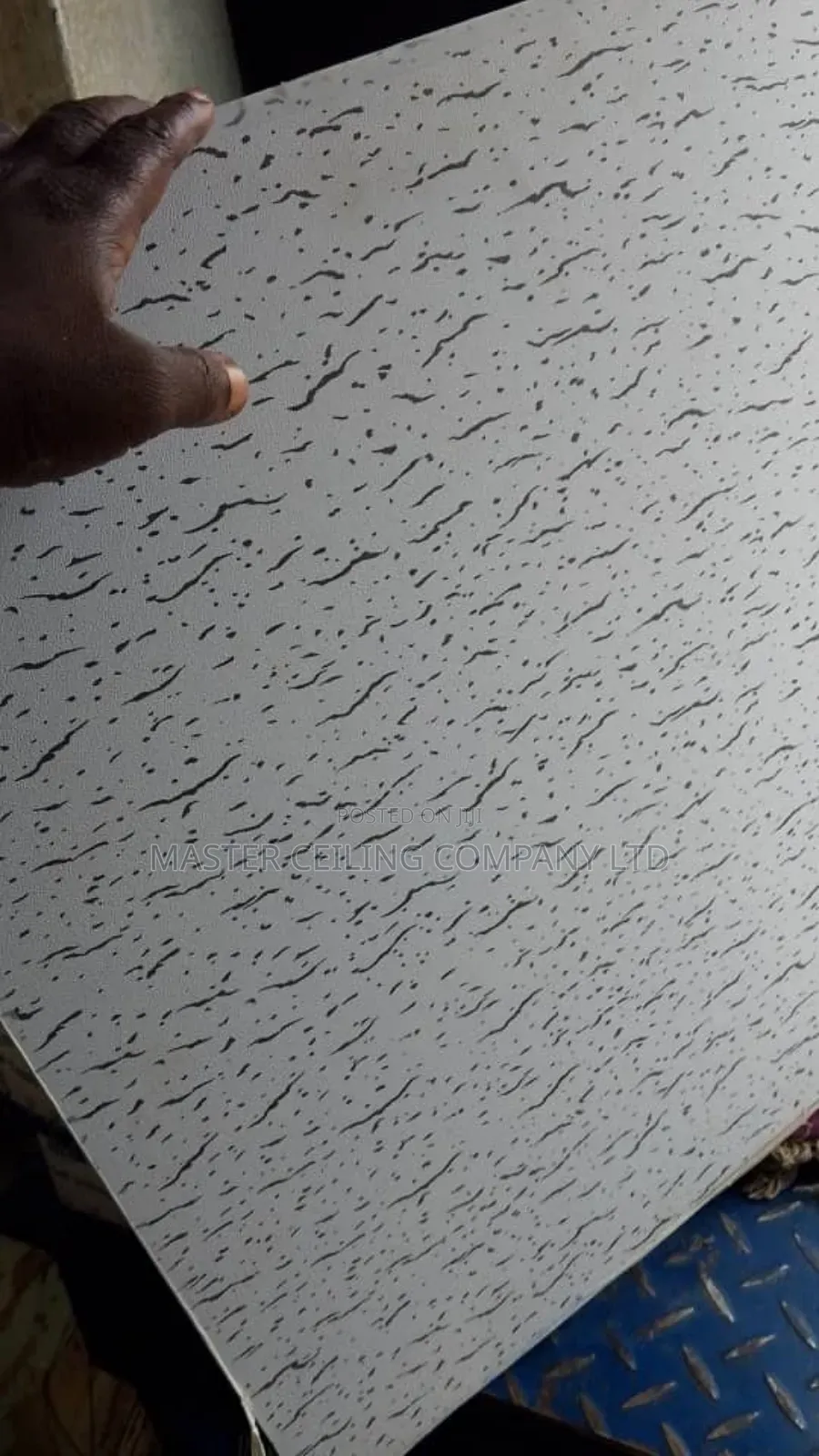 Suspended Ceiling, Plaster Board and Accessories, Black Line Grids .