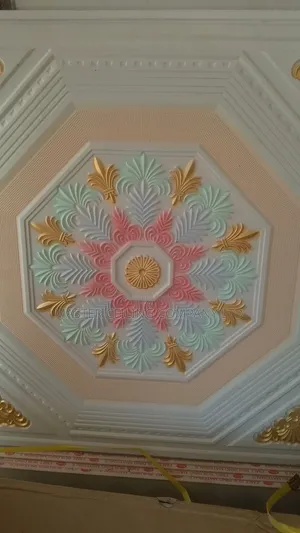 Suspended Ceiling, Plaster Board and Accessories, Black Line Grids .
