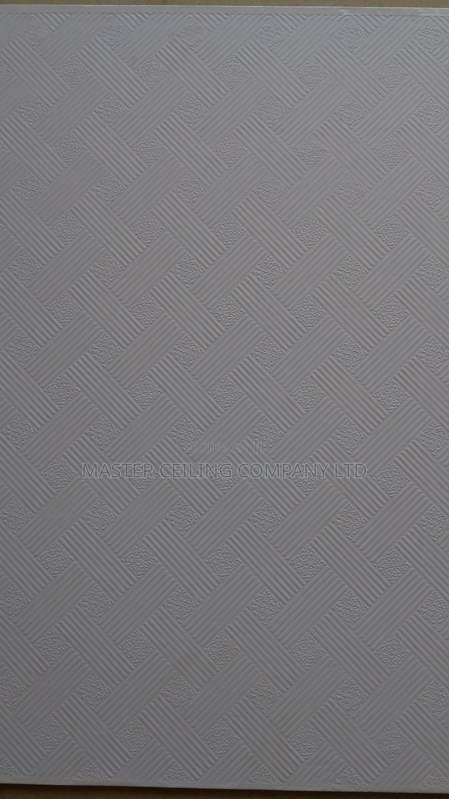 Suspended Ceiling, Plaster Board and Accessories, Black Line Grids .