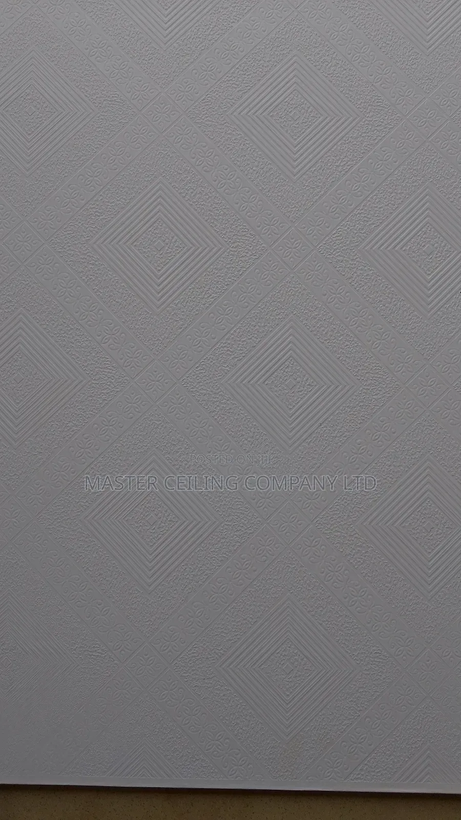 Suspended Ceiling, Plaster Board and Accessories, Black Line Grids .