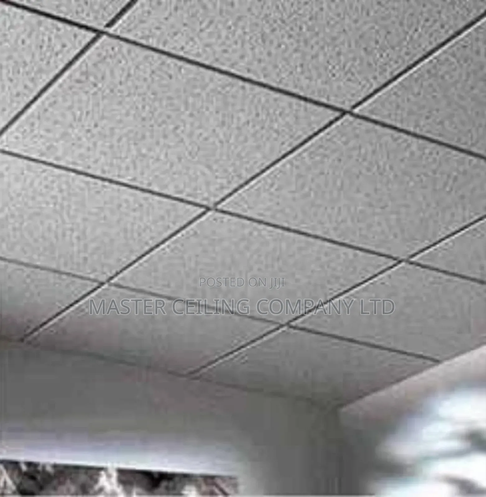 Suspended Ceiling, Plaster Board and Accessories, Black Line Grids .
