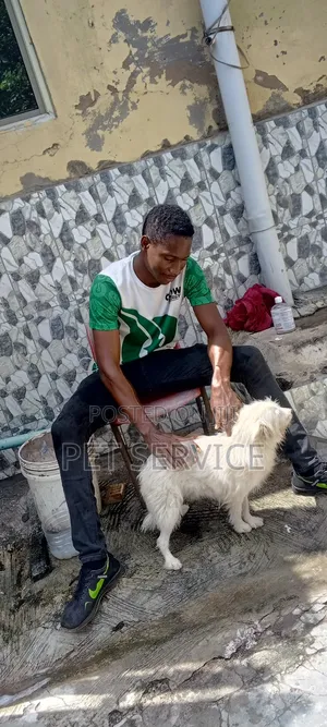Pet Sitting/Dog Caretaker