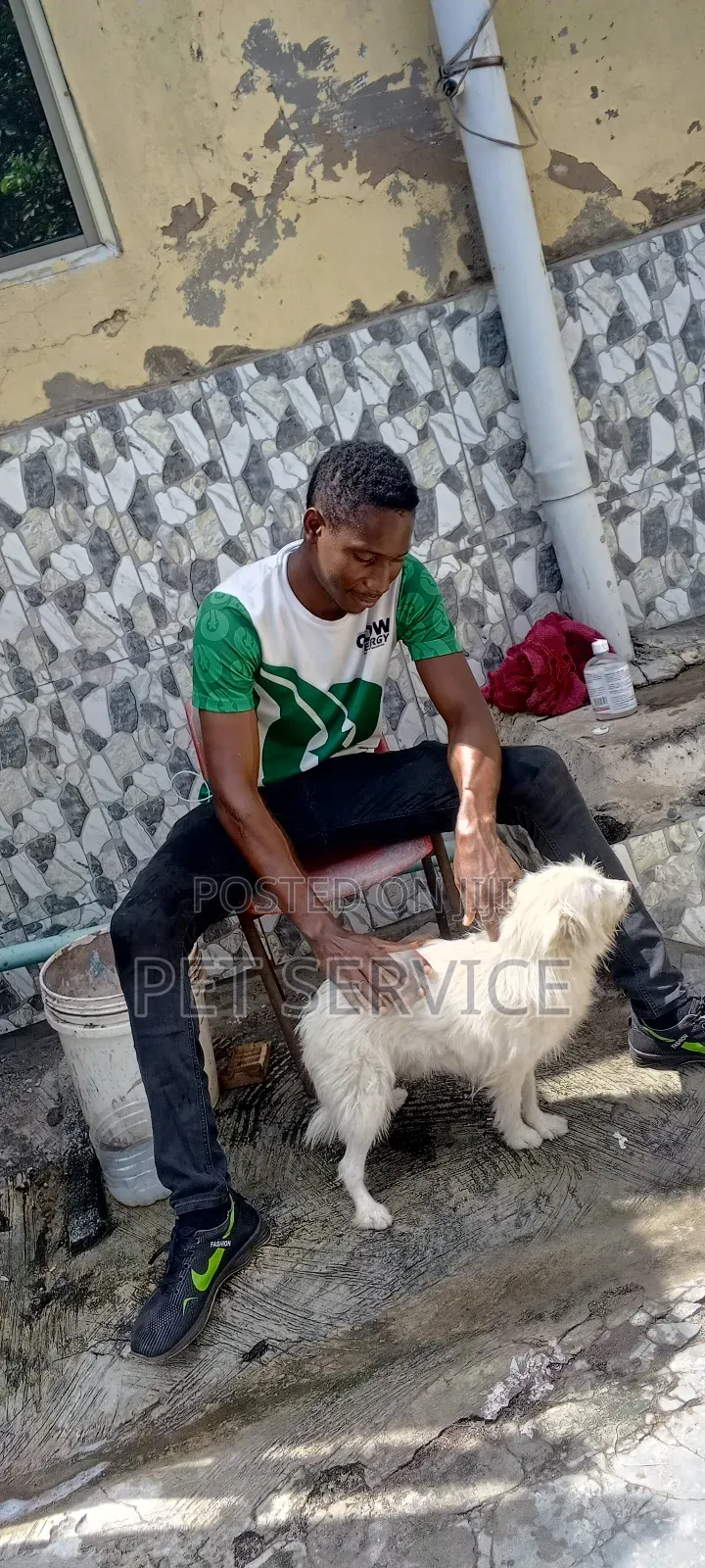 Pet Sitting/Dog Caretaker