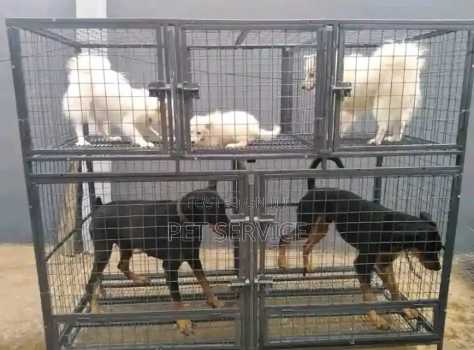 Pet Hotel/Dog Boarding