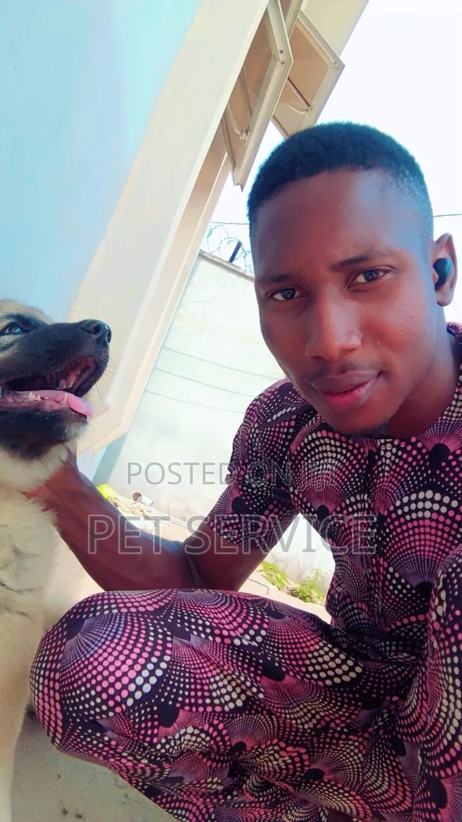 Pet Sitting/Dog Caretaker