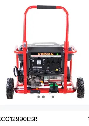 Firman Eco12990es