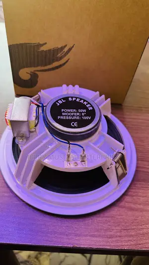 High Quality Jbl Ceiling Passive Woofer