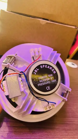 Jbl Ceiling Speakers With Woofer
