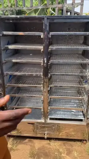 Stainless Electric and Gas Multipurpose Baking and Fish Drying Ovens