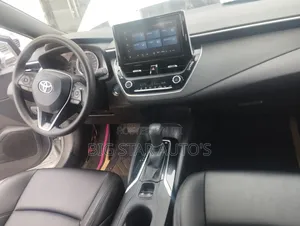Toyota Corolla XLE 2020 Gray