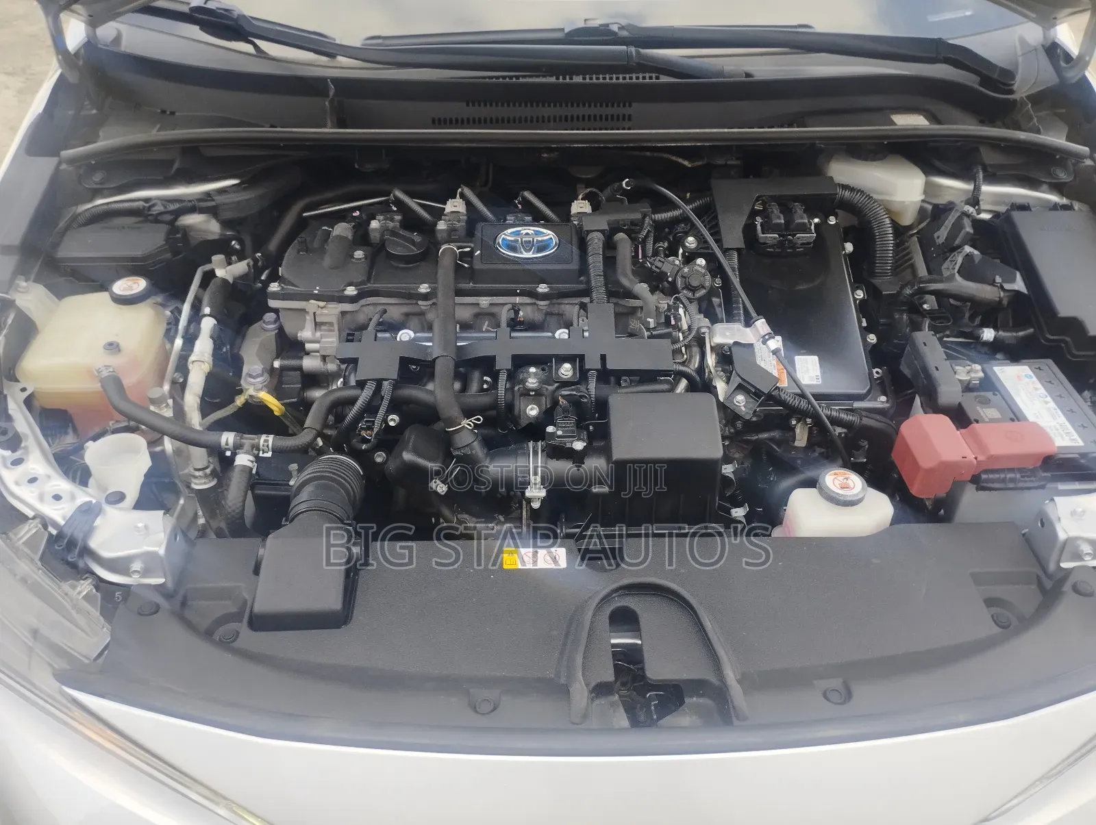 Toyota Corolla XLE 2020 Gray
