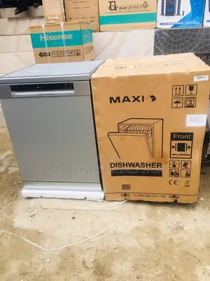 New Maxi Silver Dishwasher