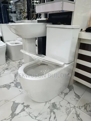 Wc  With Wash Hand Basin Executive (Pay On Delivery)