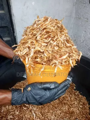 Oron Crayfish