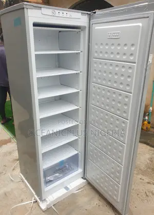 Comfortable Haier Thermocool 235l Upright Inverter Freezer Hf-250bs