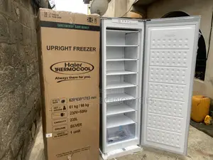 Keep It Frozen: Haier Thermocool Hf-250bs 235l Upright Inverter Silver